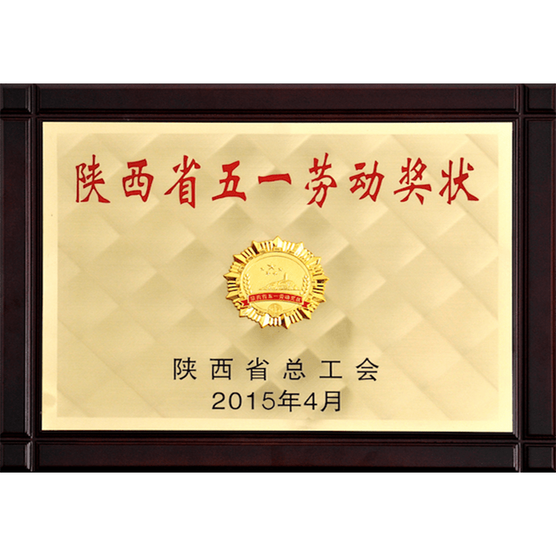 Shaanxi May Day Labor Award