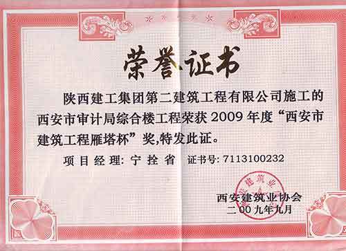 西安市审计局综合楼雁塔杯（2009）